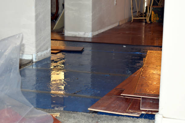 Professional Burst Pipe Cleanup technician working in Great Meadows, NJ